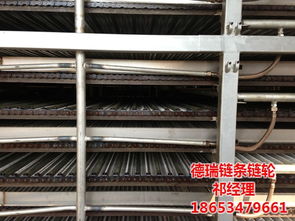 鏈條烘干爐網帶 杭州烘干爐網帶 德瑞鏈條鏈輪烘干爐網帶