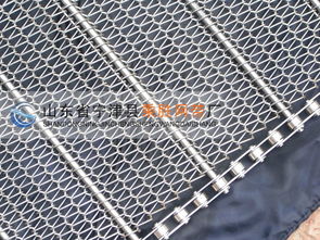 鏈條式輸送網帶價格 鏈條式輸送網帶型號規格