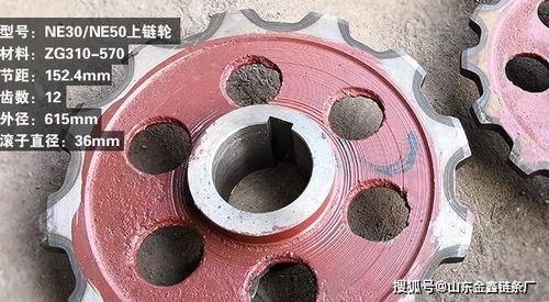 ne50提升機上鏈輪尺寸