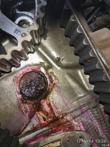 正時(shí)鏈輪下方這是什么