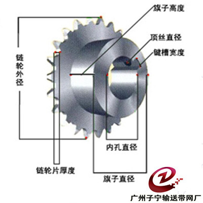 廠家供應(yīng)優(yōu)質(zhì)訂制網(wǎng)帶齒輪與鏈輪 廣州市番禺區(qū)鐘村子寧金屬絲繩廠詳解